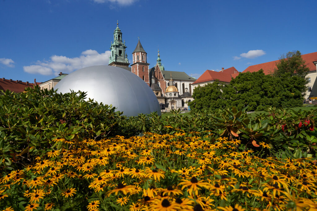 Piknik Naukowy „Wawel jest Wasz”, Kraków